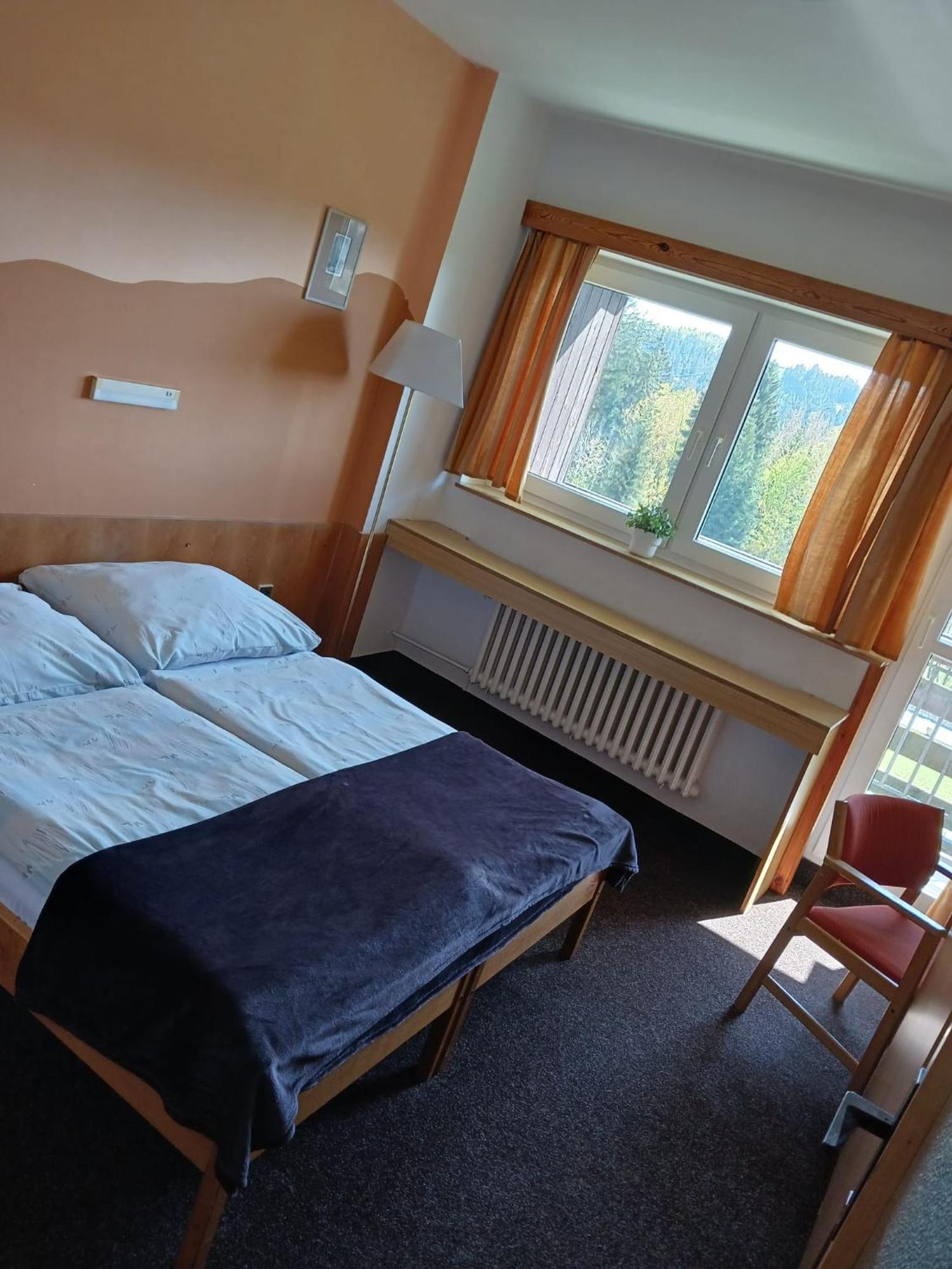 Hotel Albert - Retro Пасеки над Изероу Екстериор снимка