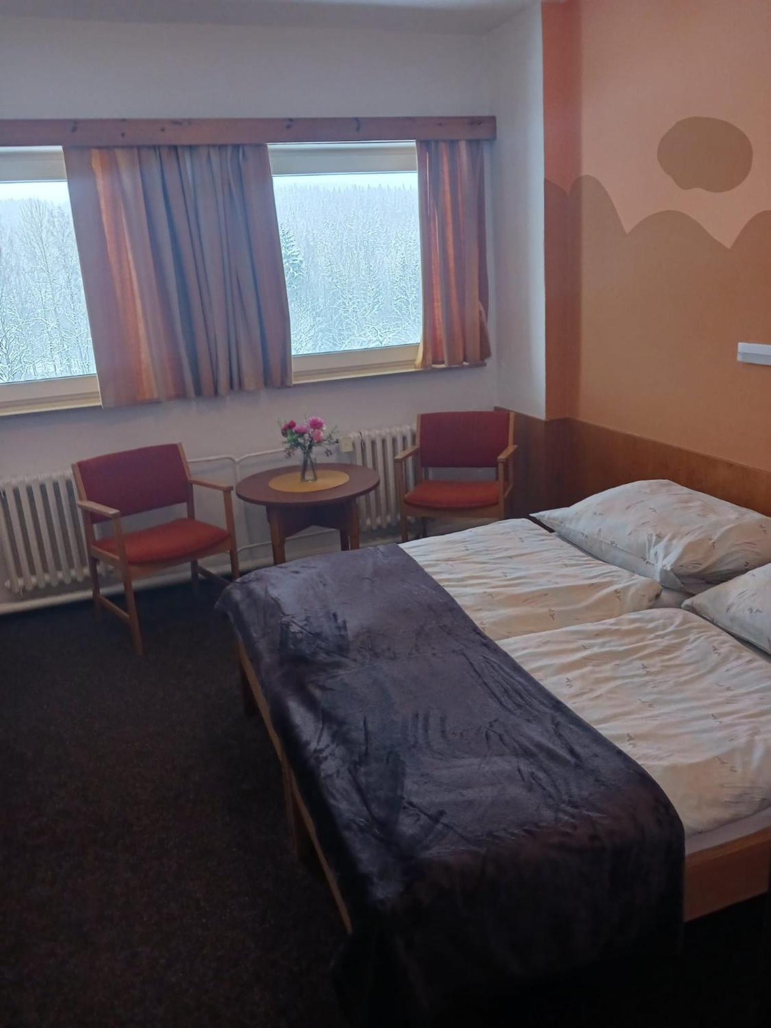 Hotel Albert - Retro Пасеки над Изероу Екстериор снимка